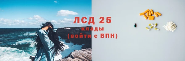 прущий лед Бородино