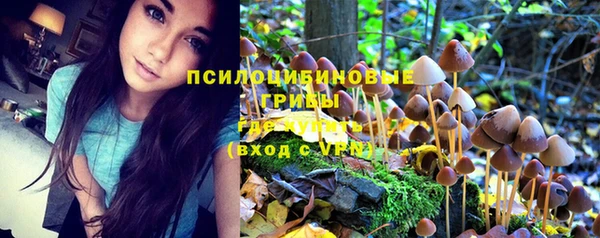 прущий лед Бородино