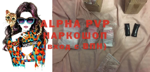 прущий лед Бородино