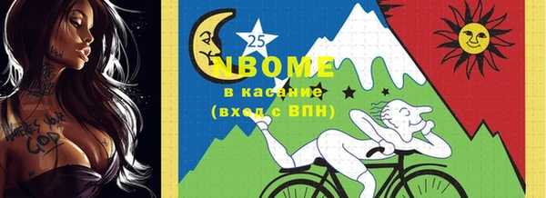 прущий лед Бородино