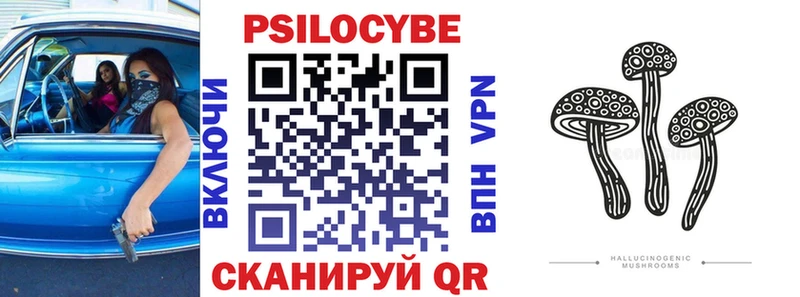 магазин  наркотиков  Калининец  Псилоцибиновые грибы Cubensis 